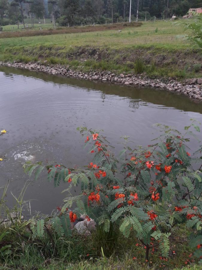 Pousada Requinte Ponto Rural Urubici Luaran gambar